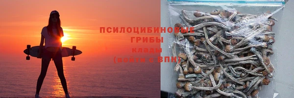 индика Балабаново