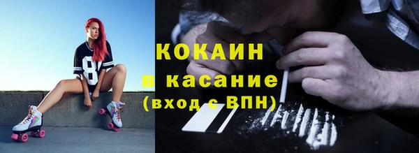 индика Балабаново