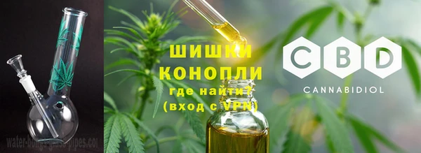индика Балабаново
