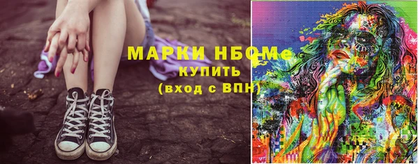 индика Балабаново