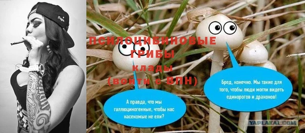 индика Балабаново