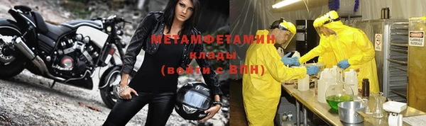 прущие грибы Козельск