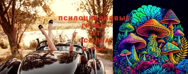 индика Балабаново