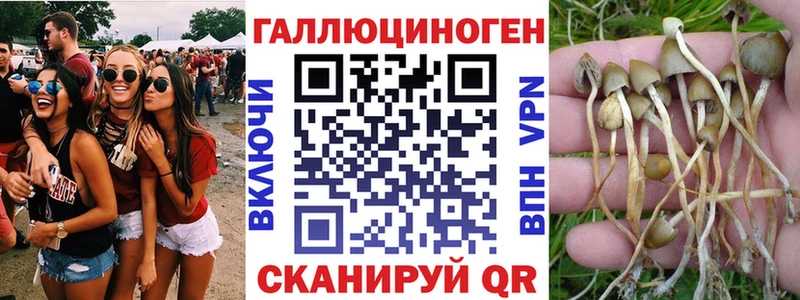хочу   Кувандык  Псилоцибиновые грибы Magic Shrooms 